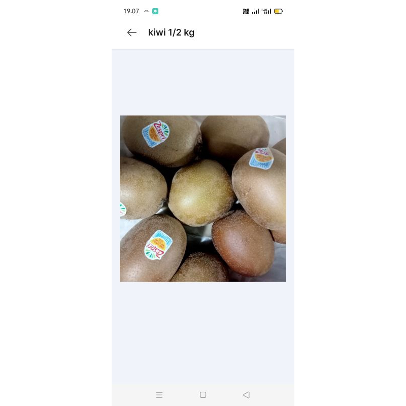 

buah kiwi