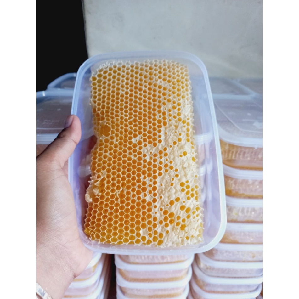 

Madu Sarang 500gr Comb Honey Madu Asli Plus Darang Madu Melifera