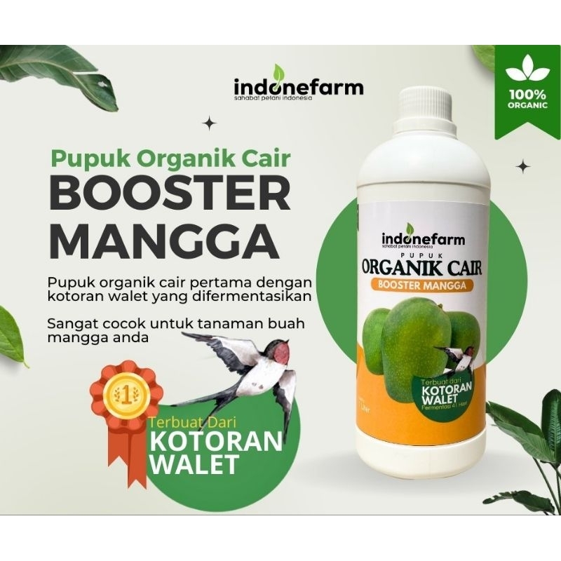 PUPUK KOTORAN WALET | COR ORGANIK BUAH MANGGA | Terbuat Dari Kotoran Walet Asli | Fermentasi 41 Hari