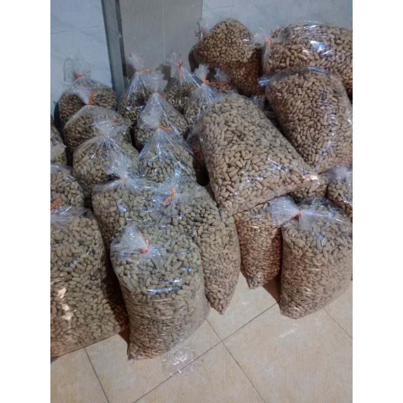 

kacang kulit goreng sangrai asrep 5kg merk kelinci super enak gurih