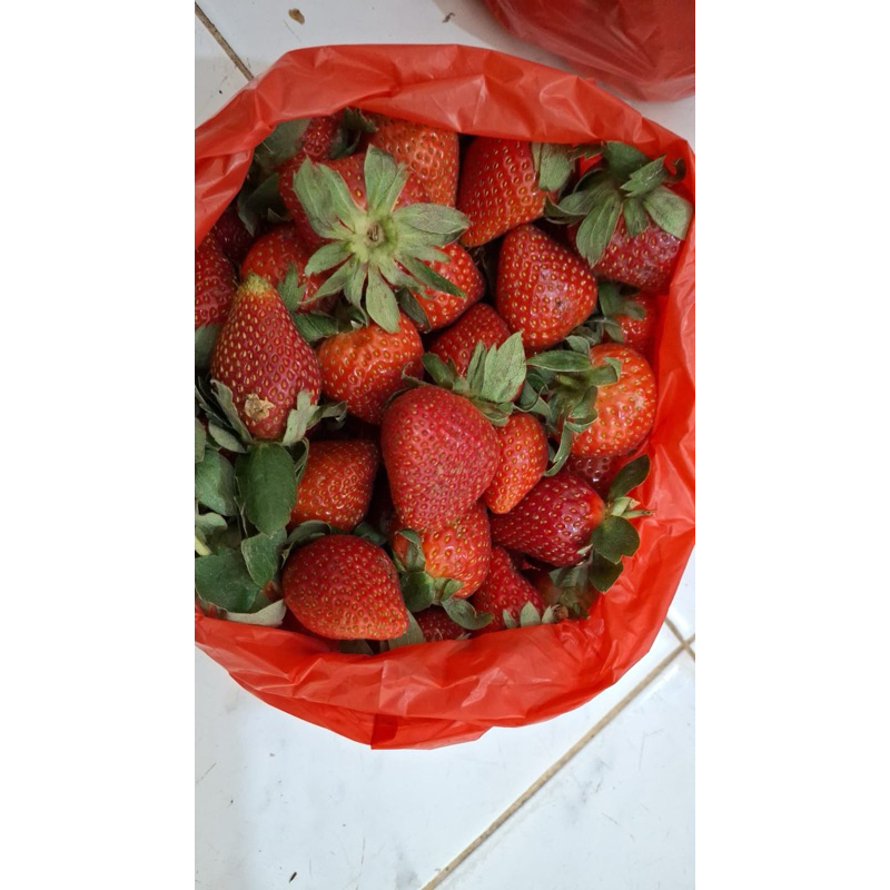 

PO FRESH STRAWBERRY 500gr