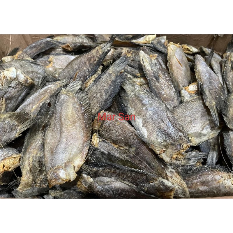 

Ikan asin Sepat Siam size sedang 500-1kg kualitas terjamin