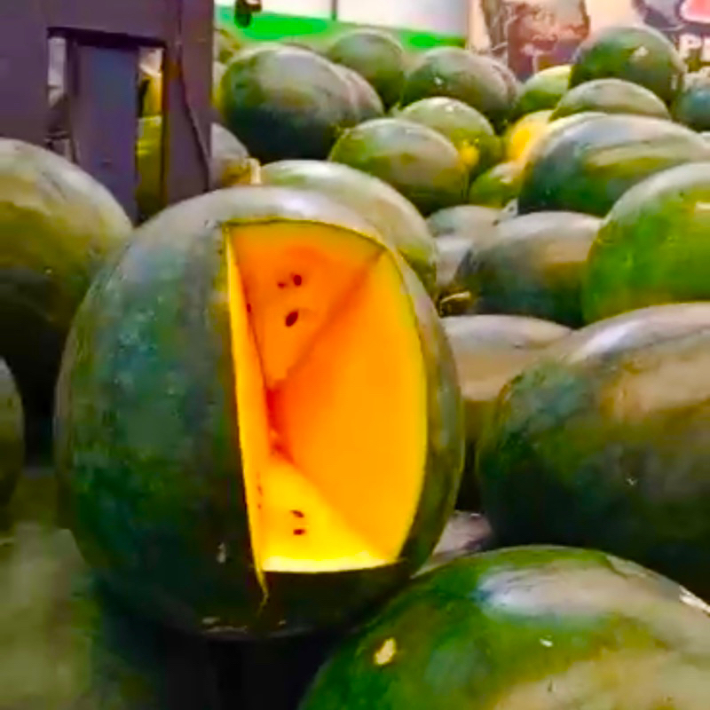 

Semangka Kuning Manis Fresh 1Pcs