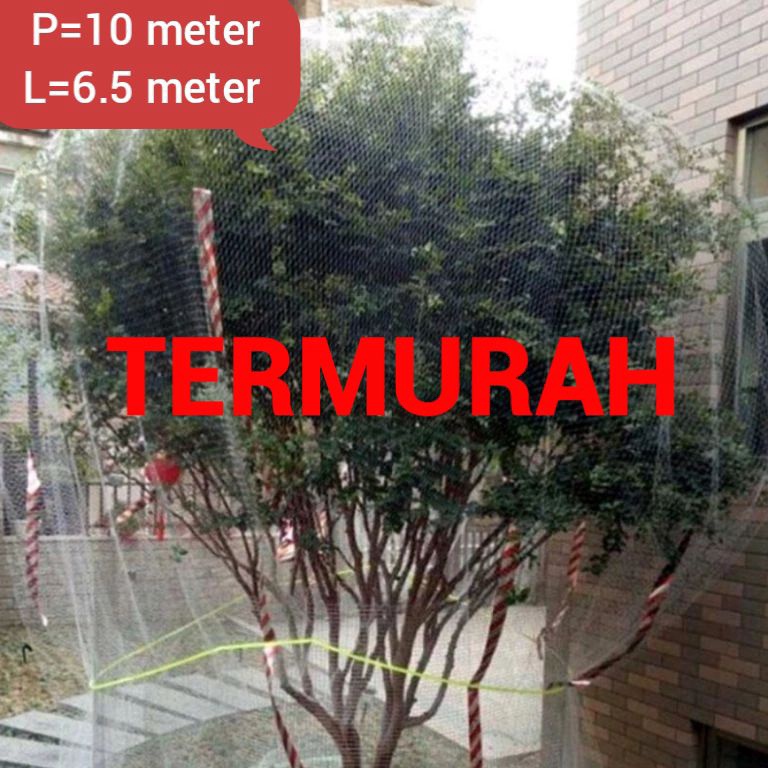 Sedang Trend jaring pelindung tanaman dari hawa kelelawar dari burung pelindung buah tanaman klengke