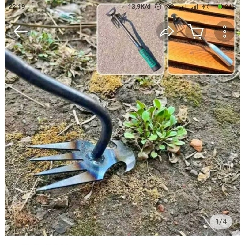 Garu pembersih rumput