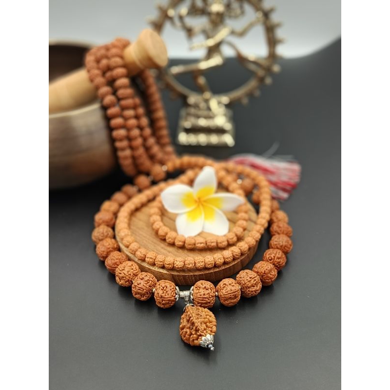 Kalung Genitri Rudraksha Liontin Mukhi 2 Jumbo