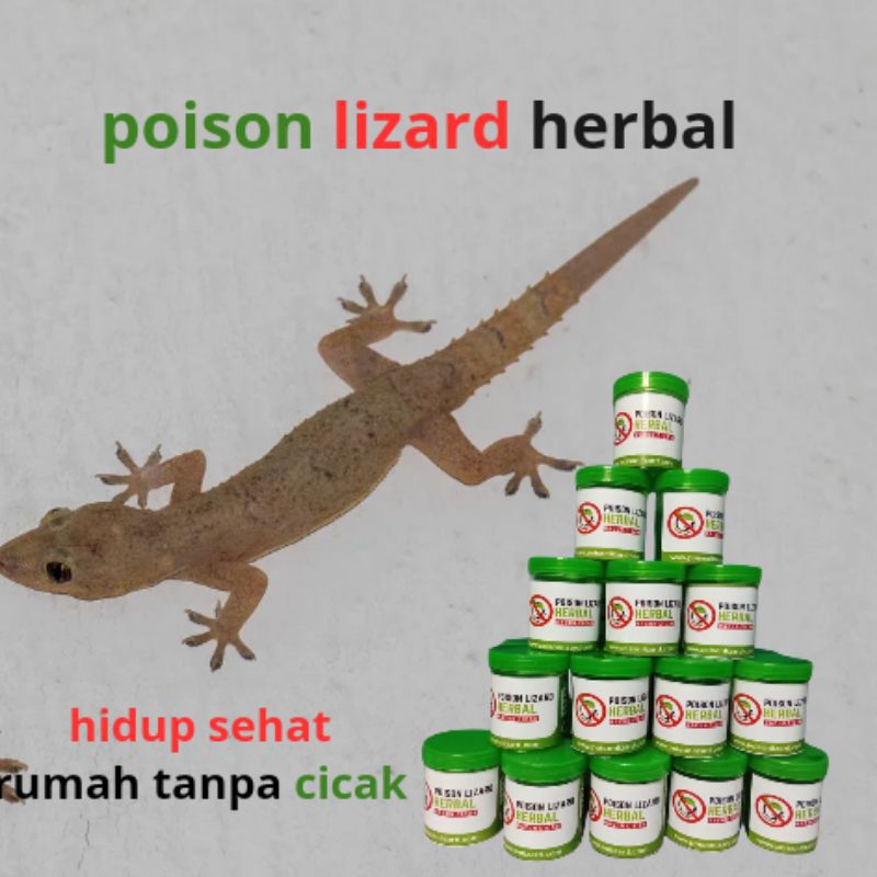 Poison Lizard Herbal / Racun Cicak / Pembasmi Cicak