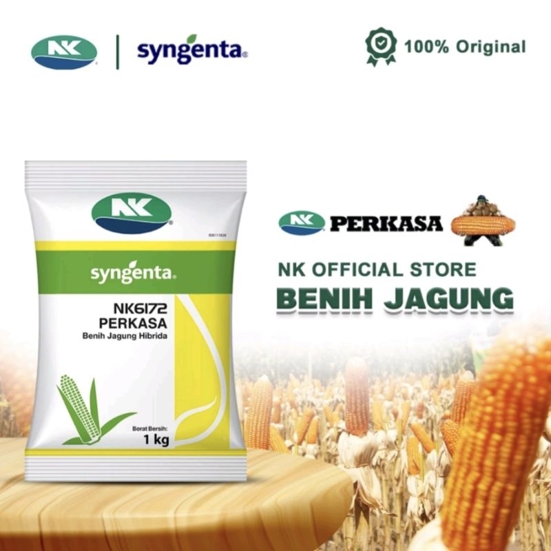 NK PERKASA / NK 6172 BENIH JAGUNG HIBRIDA SYNGENTA