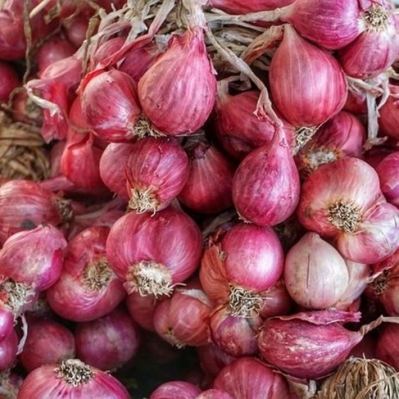 

BAWANG MERAH /BAWANG/BAWANG MERAH PAKET 10RIBU /BAWANG MERAH
