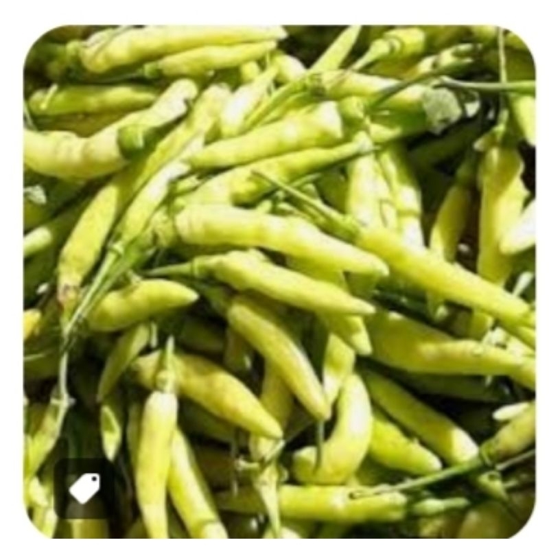 

lombok ijo gorengan 250g / pasar online karuwisi