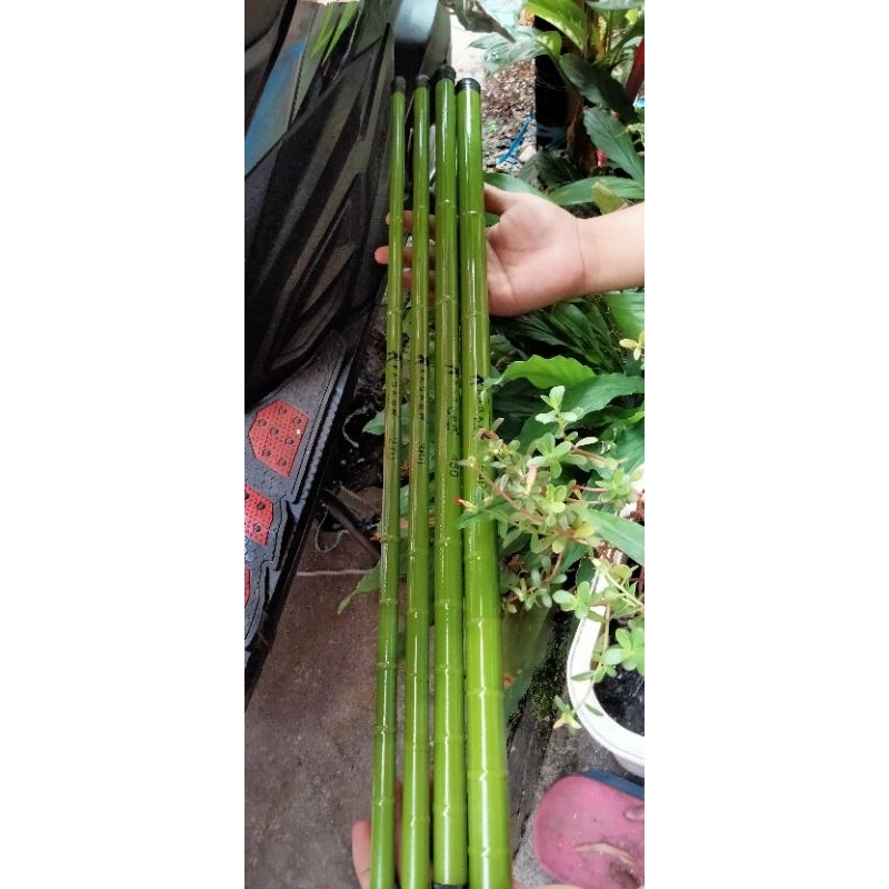 Tegek Kagawa Bambo 270-540
