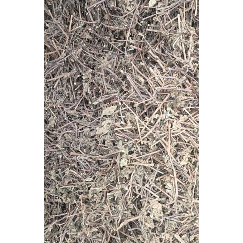 

DAUN CINCAU HITAM KERING