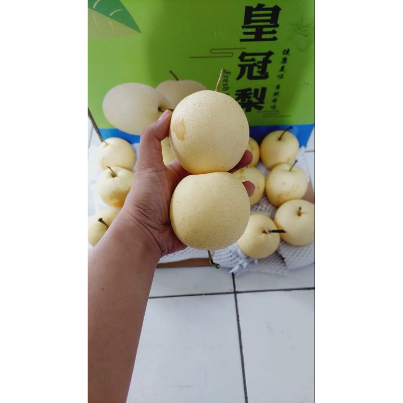 

Juragan Buah Pear Century Manis