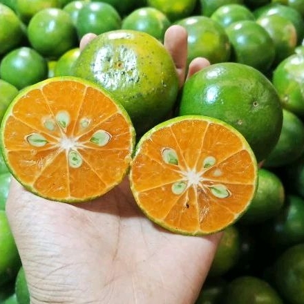 

jeruk peras 500 gram untuk minuman es jeruk