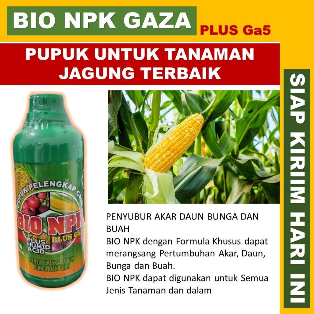 Pupuk Penyubur Akar dan Daun Jagung  Pupuk NPK Cair untuk Tanaman Jagung bio npk gaza 500 ml, Pupuk 