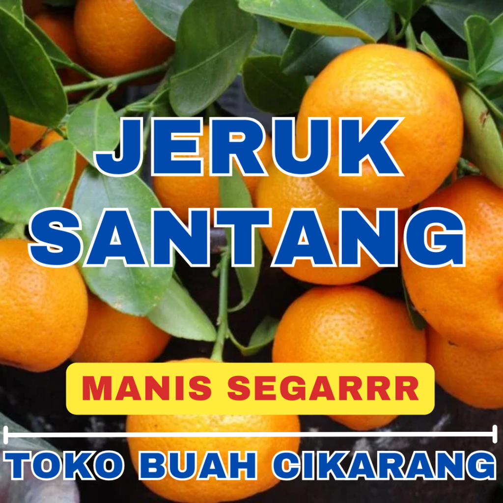 

(BISA COD) PROMOO BUAH JERUK SANTANG 1 KG KILO TOKO BUAH CIKARANG