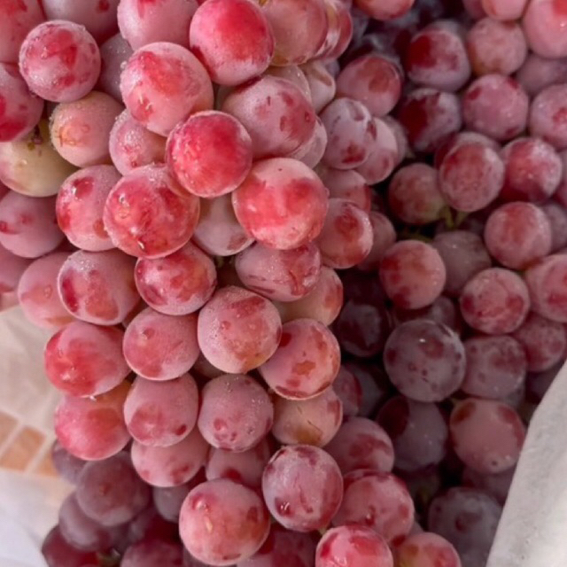 

Anggur Red Globe Rrc 1kg