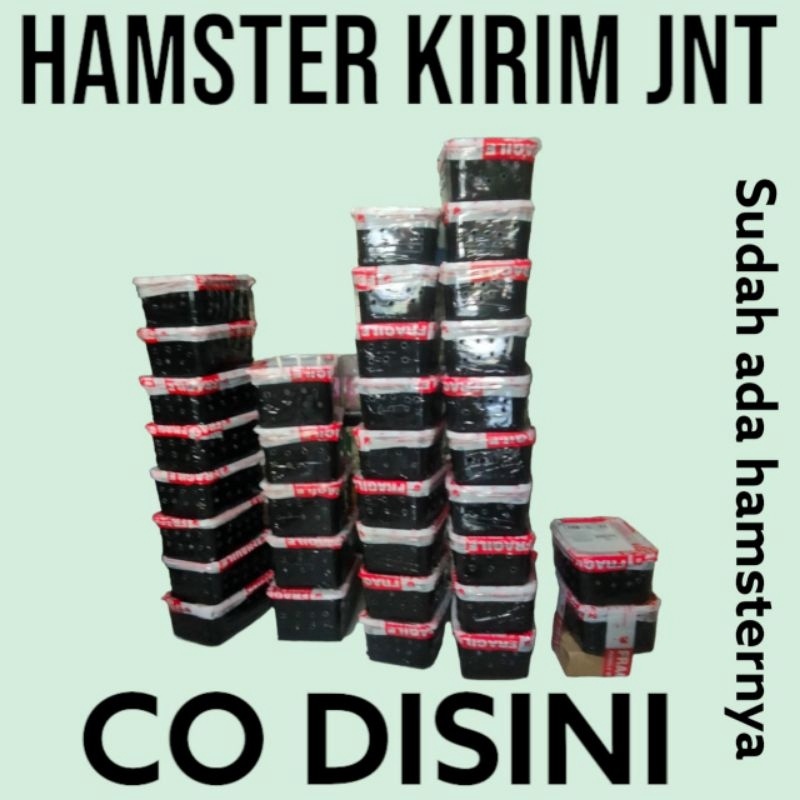 

Packing pengiriman reguler pilih jenis nya KIRIM SEPULAU JAWA