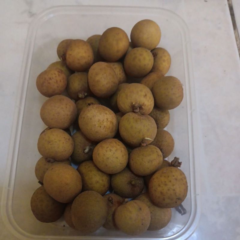 

Kelengkeng [ harga perpack ]