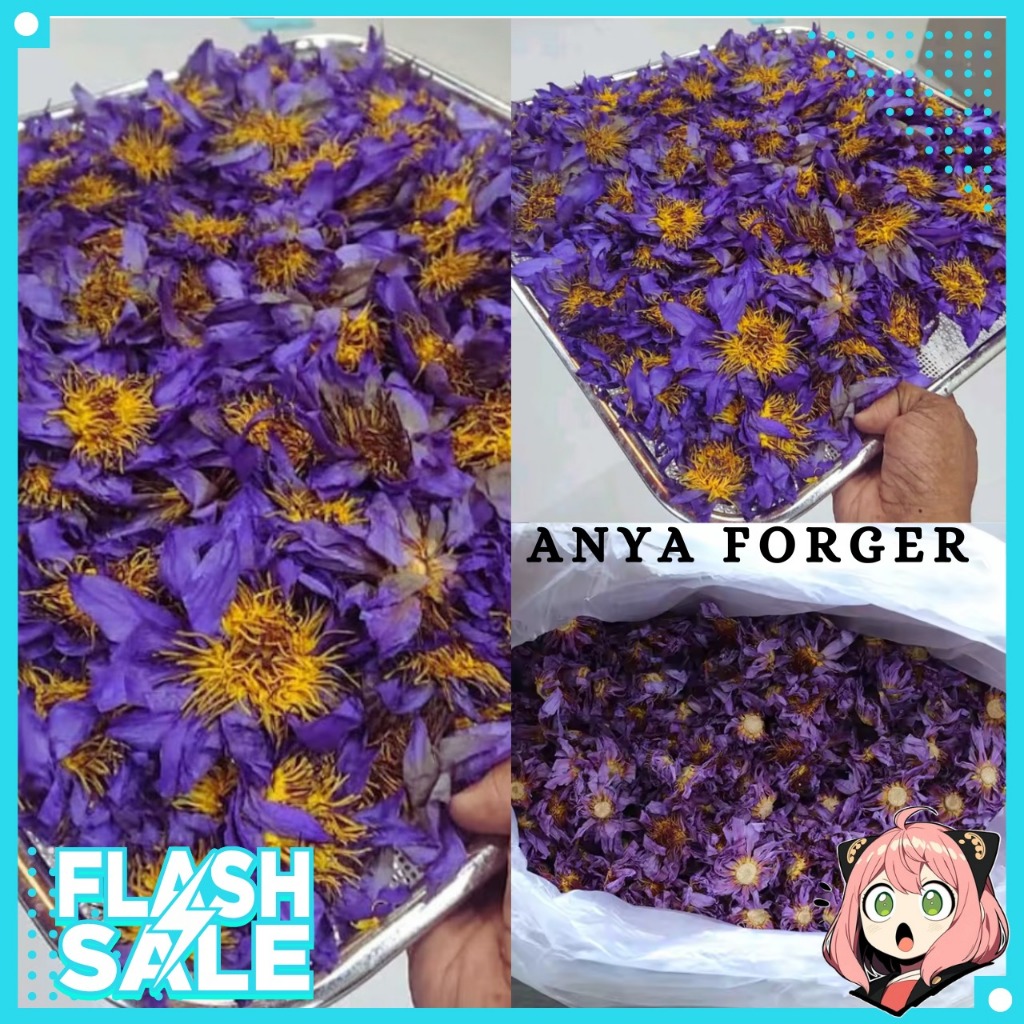 

TEH BUNGA LOTUS KERING BIRU / DRIED BLUE LOTUS FLOWER TEA / PAKET SIAP MINUM BUNGA LOTUS KERING