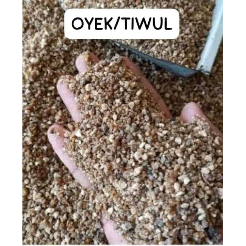 

TIWUL (OYEK)