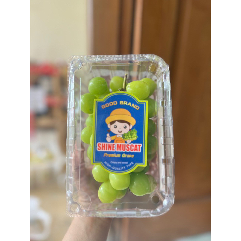 

BUAH ANGGUR HIJAU PREMIUM