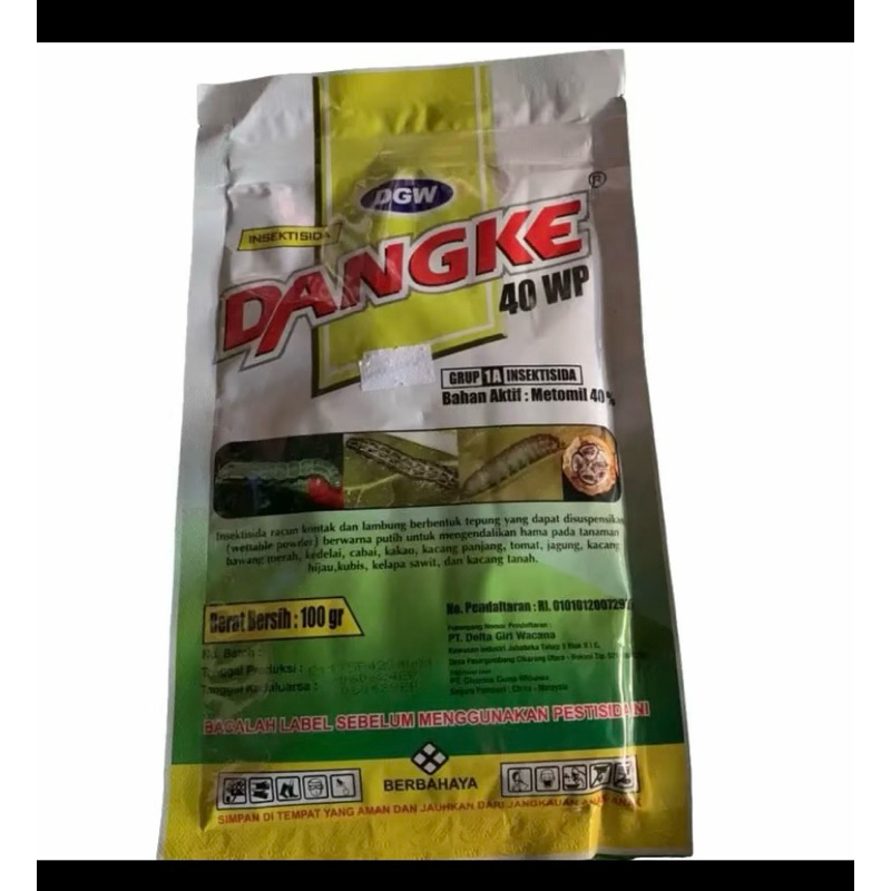 Dangke 100 gram