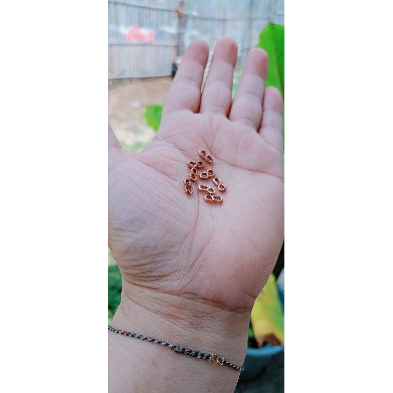 kili-kili burung kutilang dan trucuk,5000k 8buah kili-kili