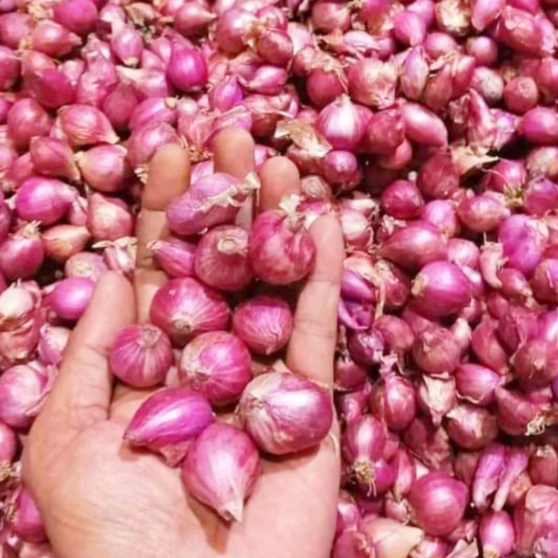 

Bawang Merah Brebes 2 KG