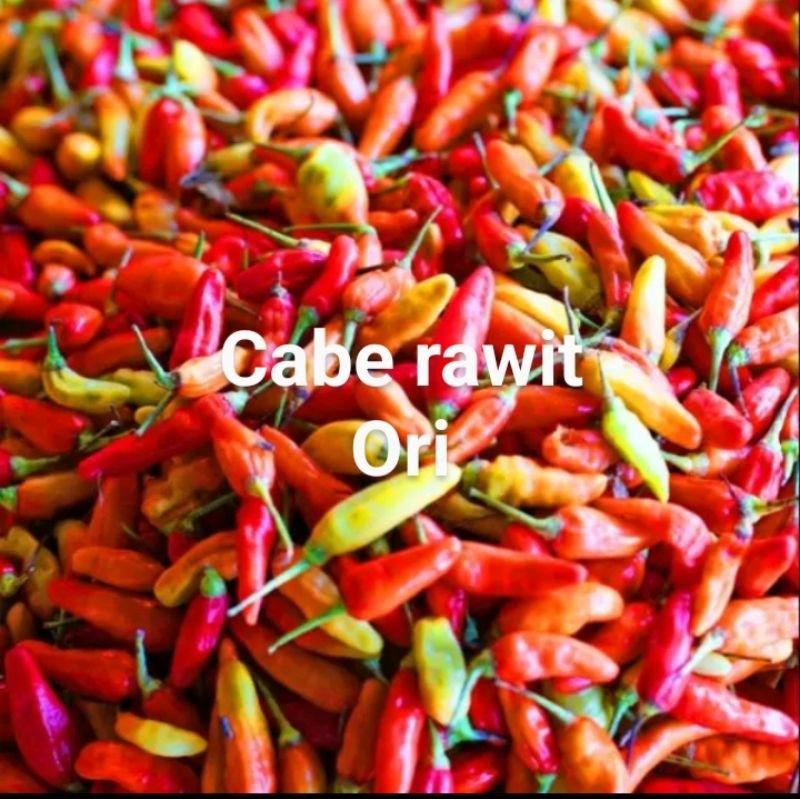 

cabe rawit tua 500gram/varian ori aura