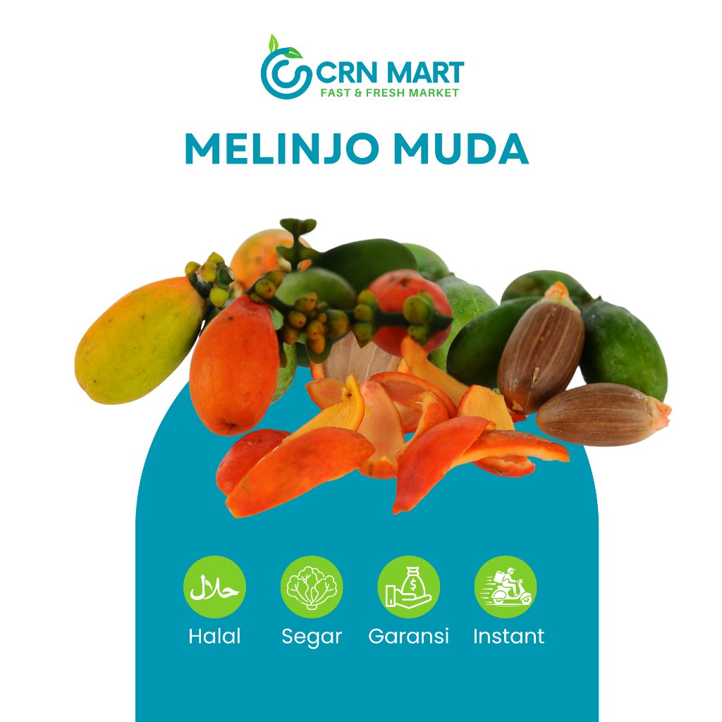 

CRN MART - Buah Melinjo Muda/Sayuran Segar/Buah Melinjo Muda Fresh