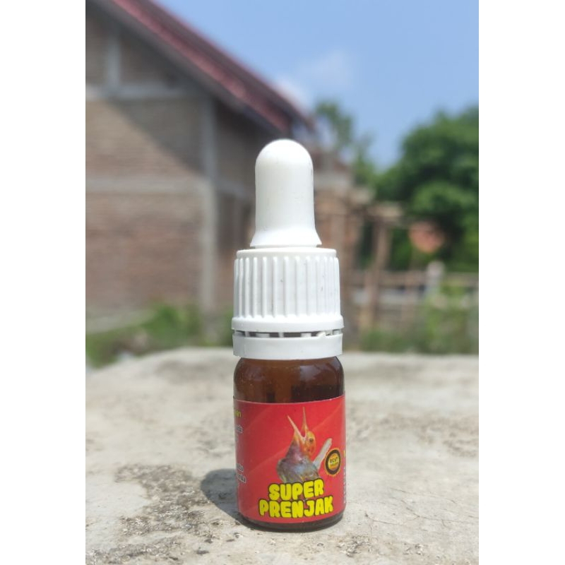 super prenjak. penggacor burung prenjak macet jadi gacor