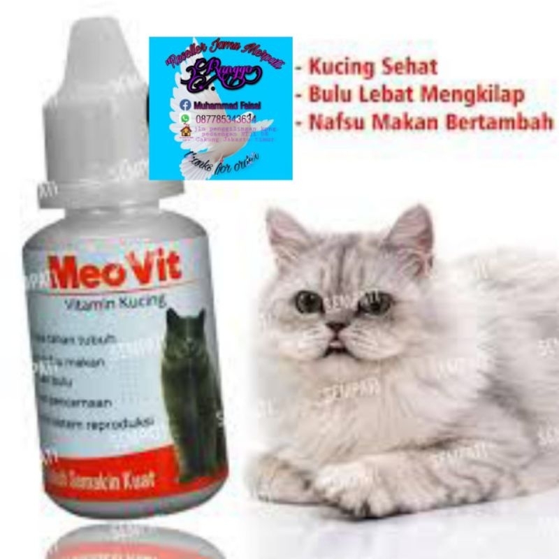 Meo vit vitamin bulu kucing obat penggemuk nafsu makan kucing