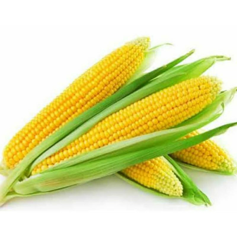 

Jagung Manis super kupas fresh & segar / 500gr