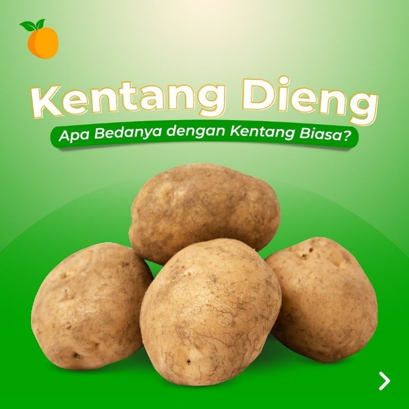 

kentang asli dieng super besar