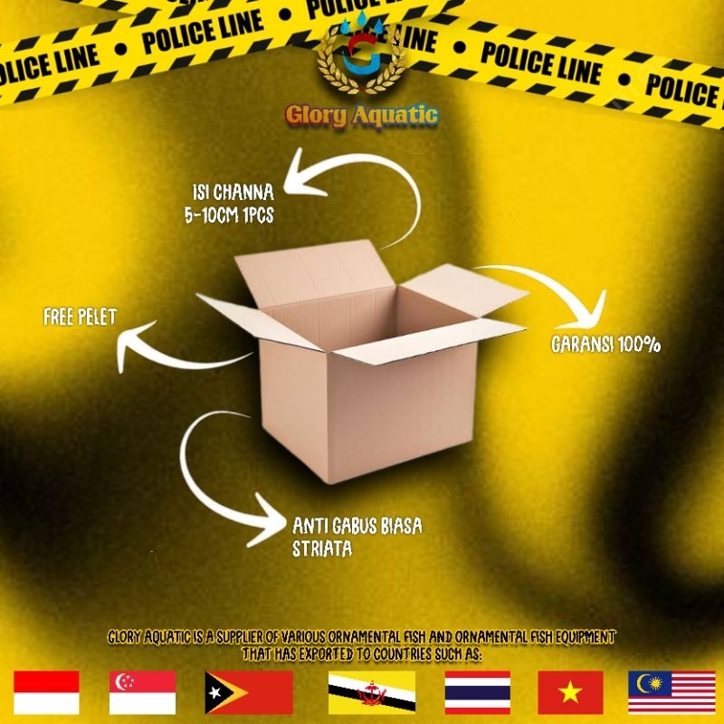 

Kardus Box Channa Lengkap Premium