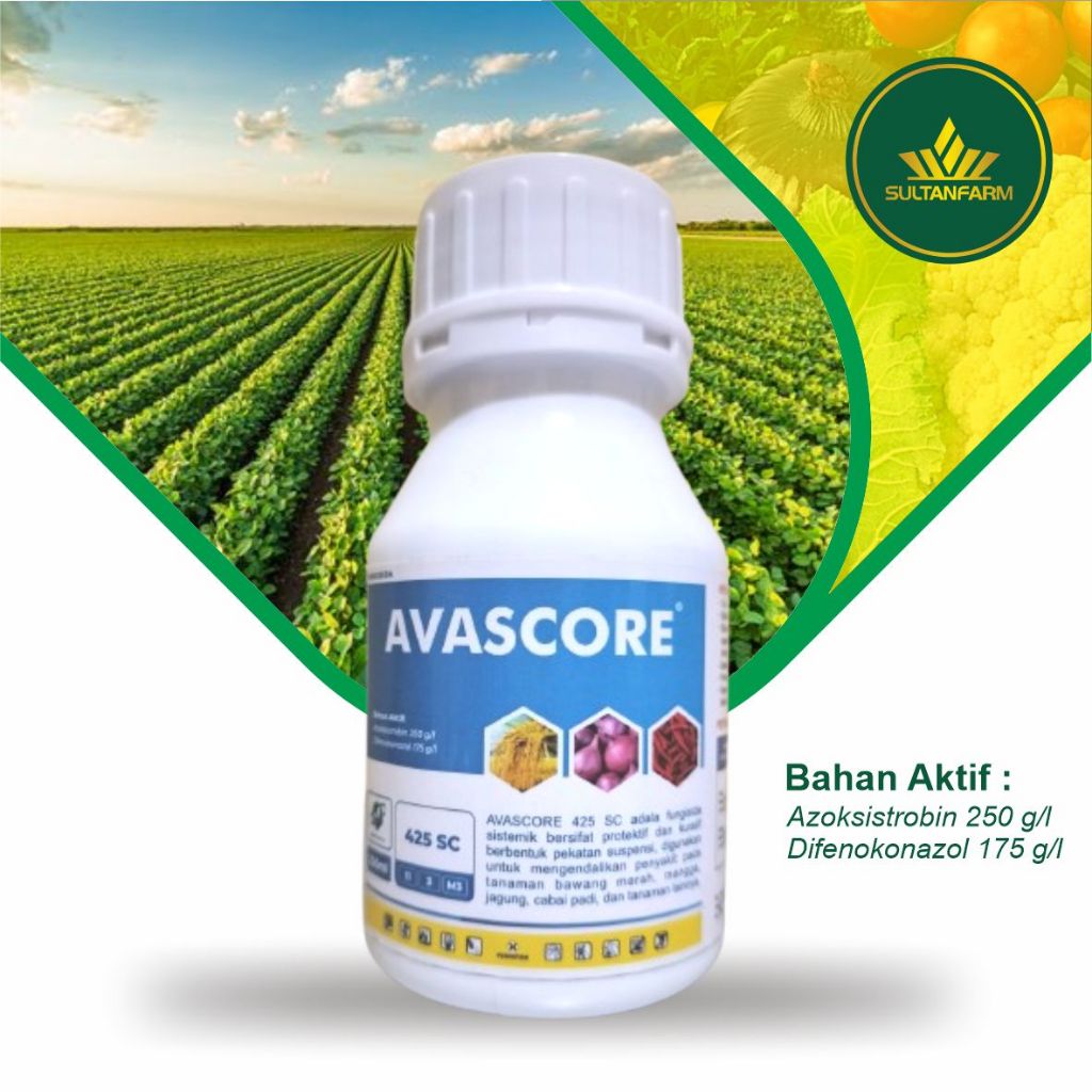 AVASCORE 425 SC - FUNGISIDA SISTEMIK PEMBASMI JAMUR AZOKSISTROBIN/DIFENOKONAZOL