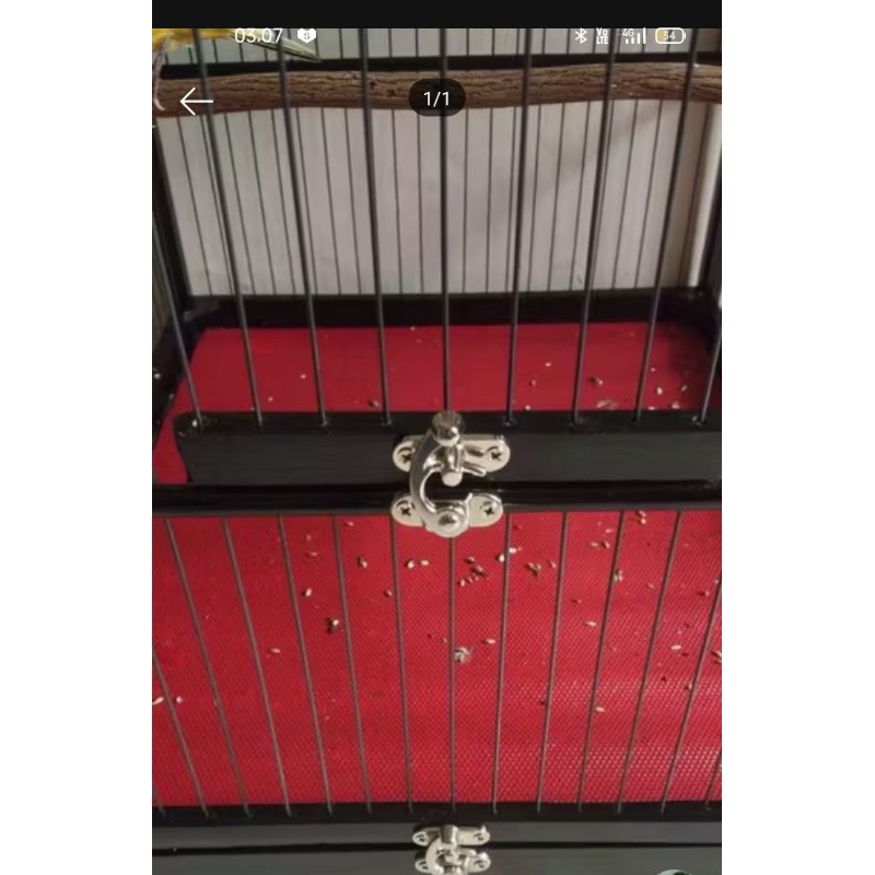 Kunci Slorokan Sangkar Burung/Box