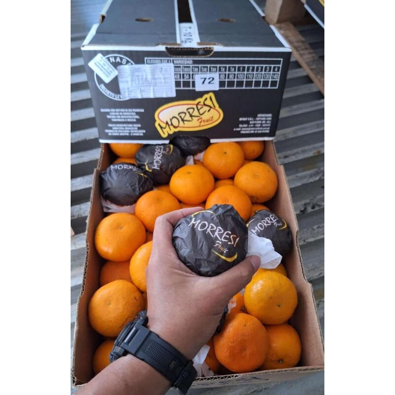 

Jeruk MurcotArgentina 1 Dus (10 Kg) Fresh Import