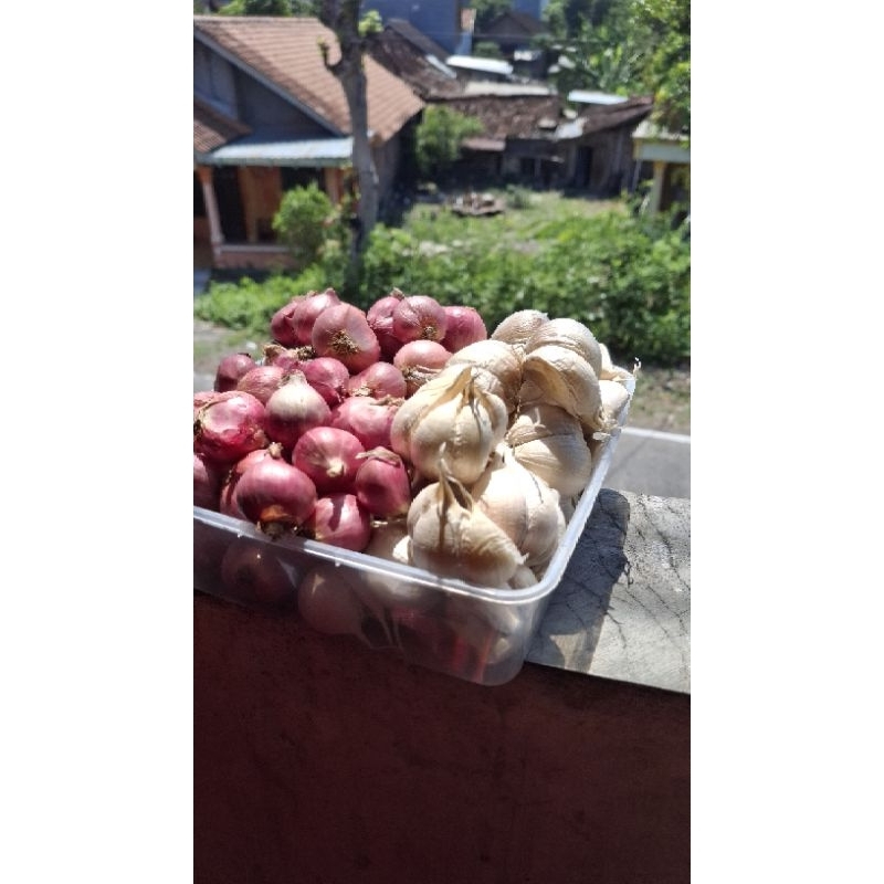 

Mix Baput Kating dan bamer