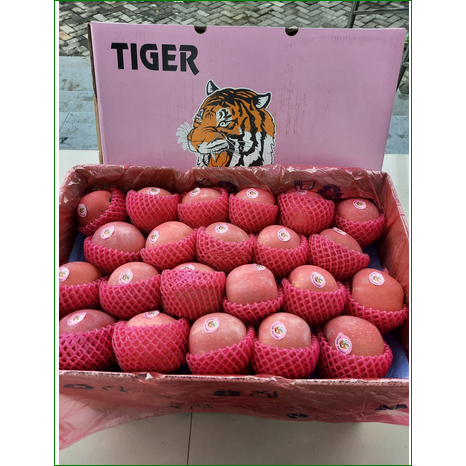 

Apples Fuji Blush Chn Tiger Pink 1Kg (Ready)