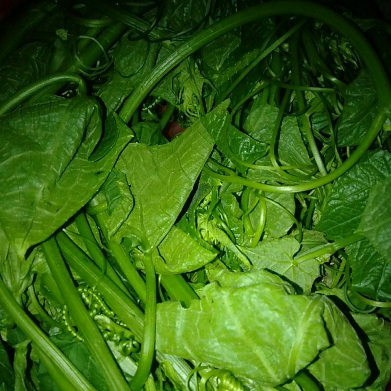 

Sayur Pucuk Labu Siam