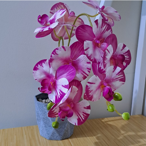 Bunga Anggrek plastik latek + vas plastik