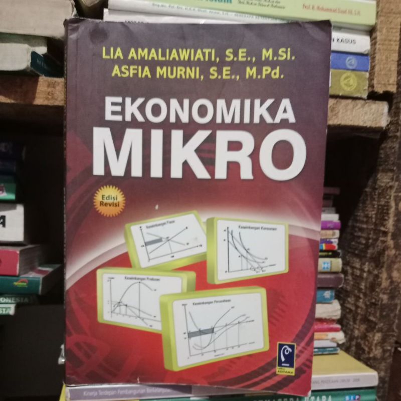 Ekonomika Mikro