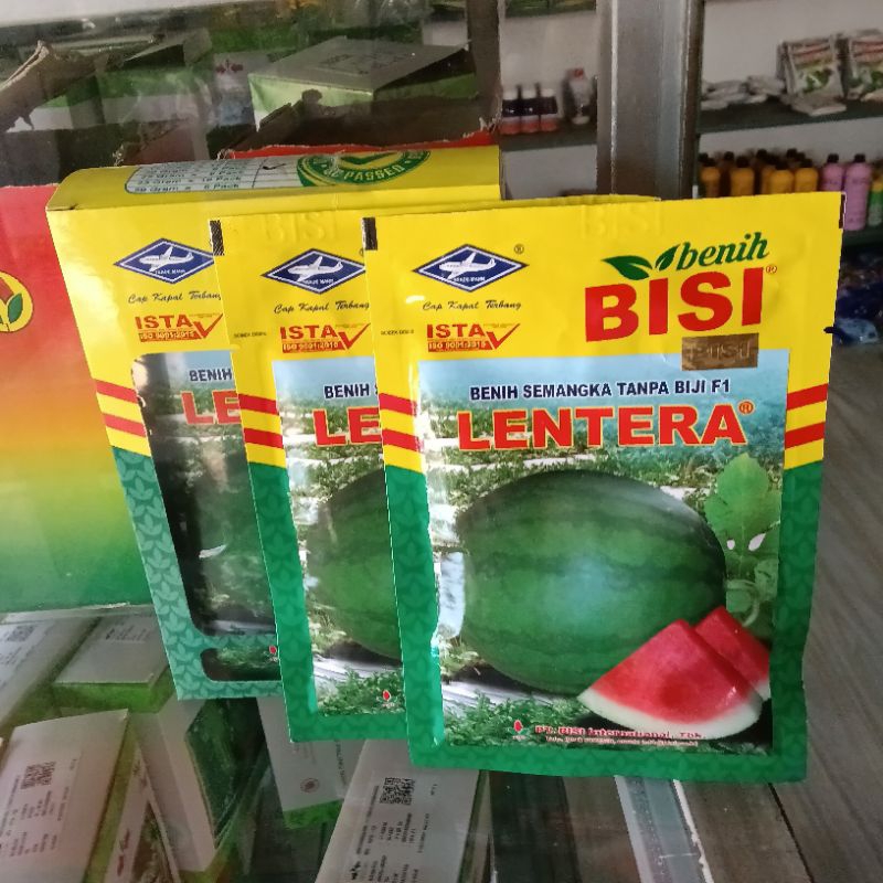 Benih Bibit Semangka Non Biji Lentera F1 Isi 20 Gram Kadaluarsa 2026 Terbaru - Cap Bisi Kapal Terban