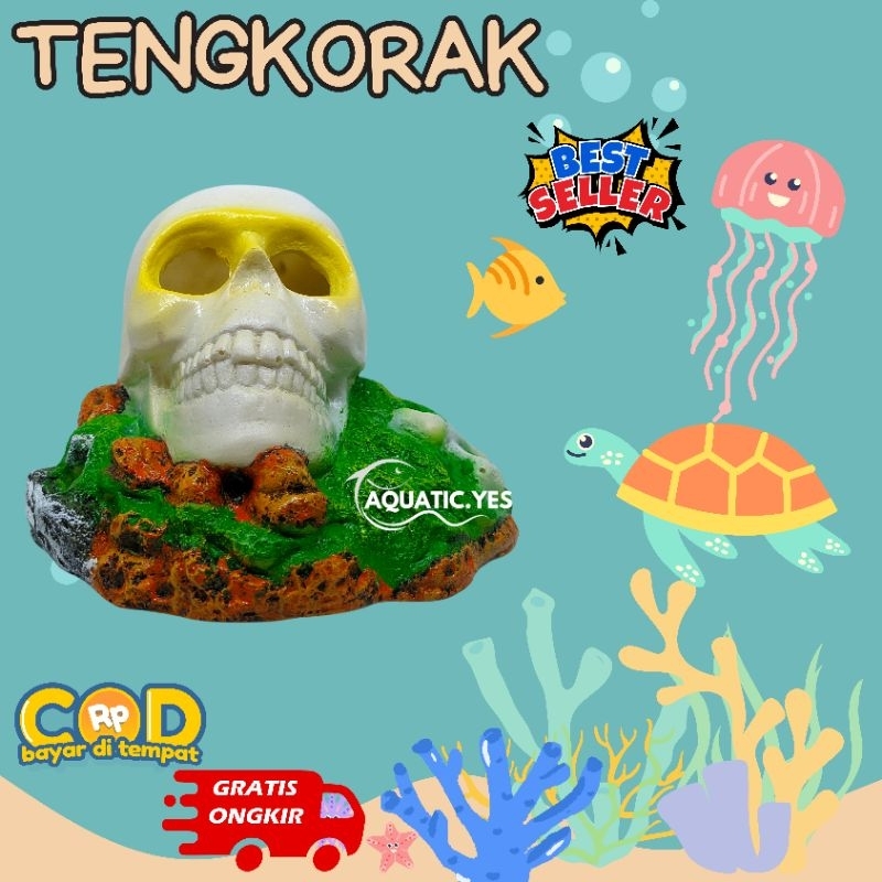 hiasan aquarium tengkorak, ornamen aquarium tengkorak, hiasan aquarium resin