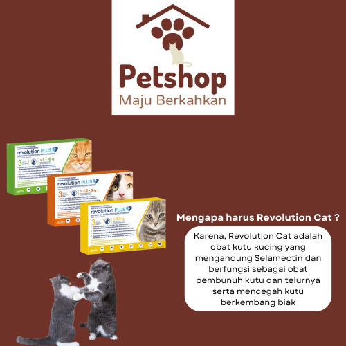 Revolution Plus Cat Orange 0,2 Ml (2,5 - 5 Kg) Original Repack / Obat Kutu Kucing Revolution Orange