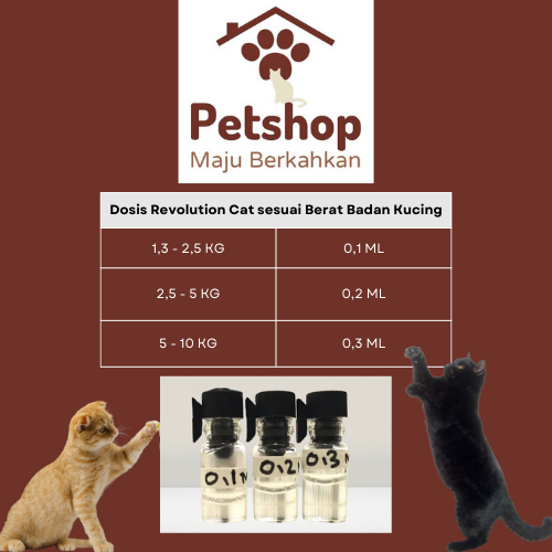 Revolution Plus Cat Orange 0,2 ML (2,5 - 5 KG) Orinal Repack / Obat Kutu Kucing Revolution Orange