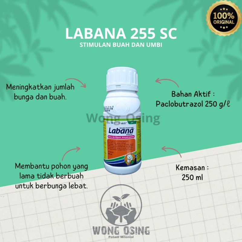 LABANA 225 SC 250ML ZAT PENGATUR TUMBUH TANAMAN Paclobutrazol