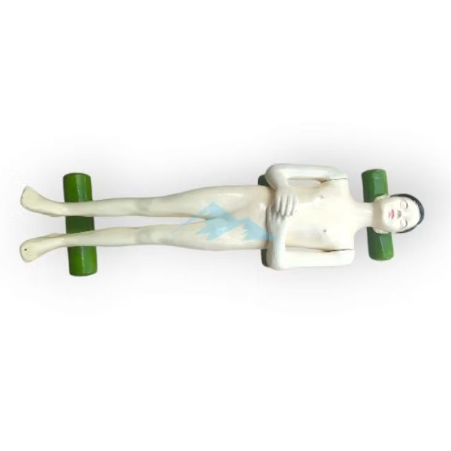 

Alat peraga Pendidikan Model Anatomi Torso Tubuh jenazah wanita Tinggi 140cm Bahan fiberglass